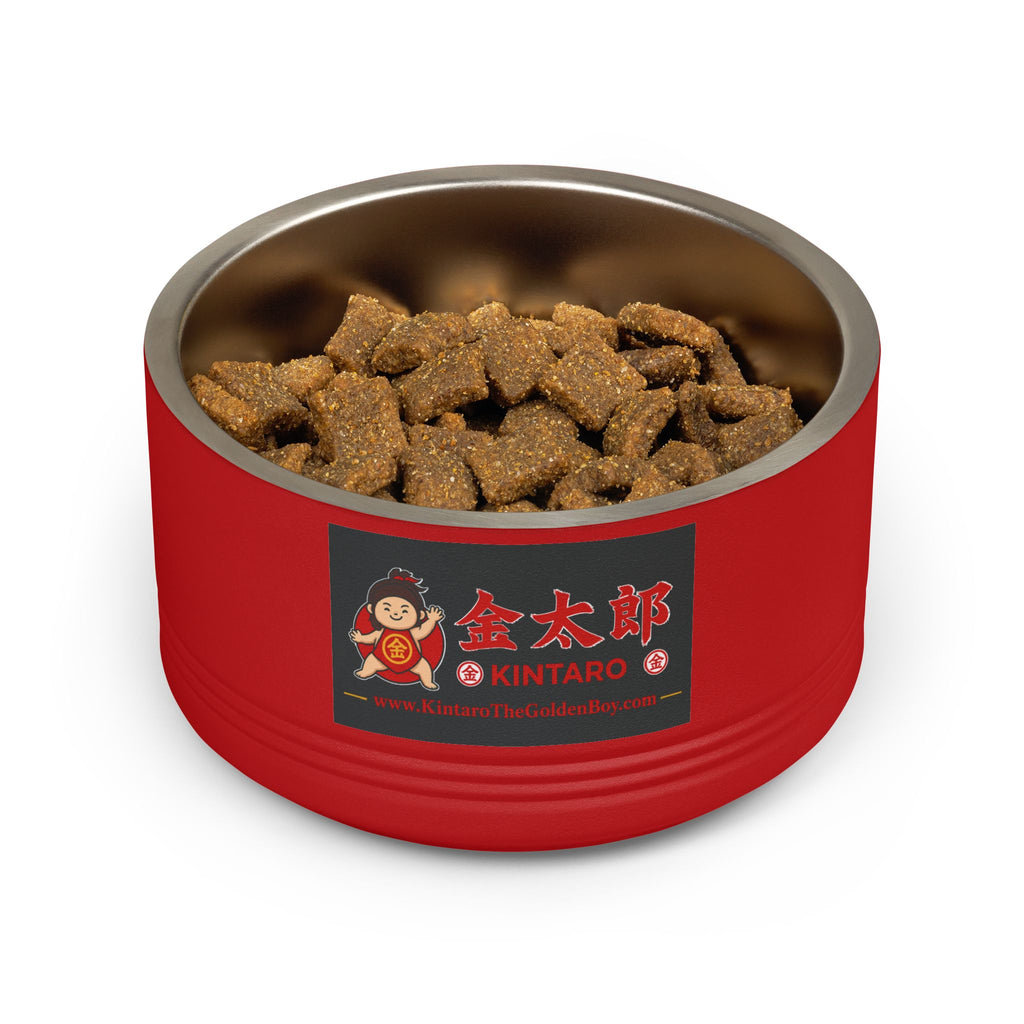 Kintaro The Golden Boy Pet Bowl, 18oz