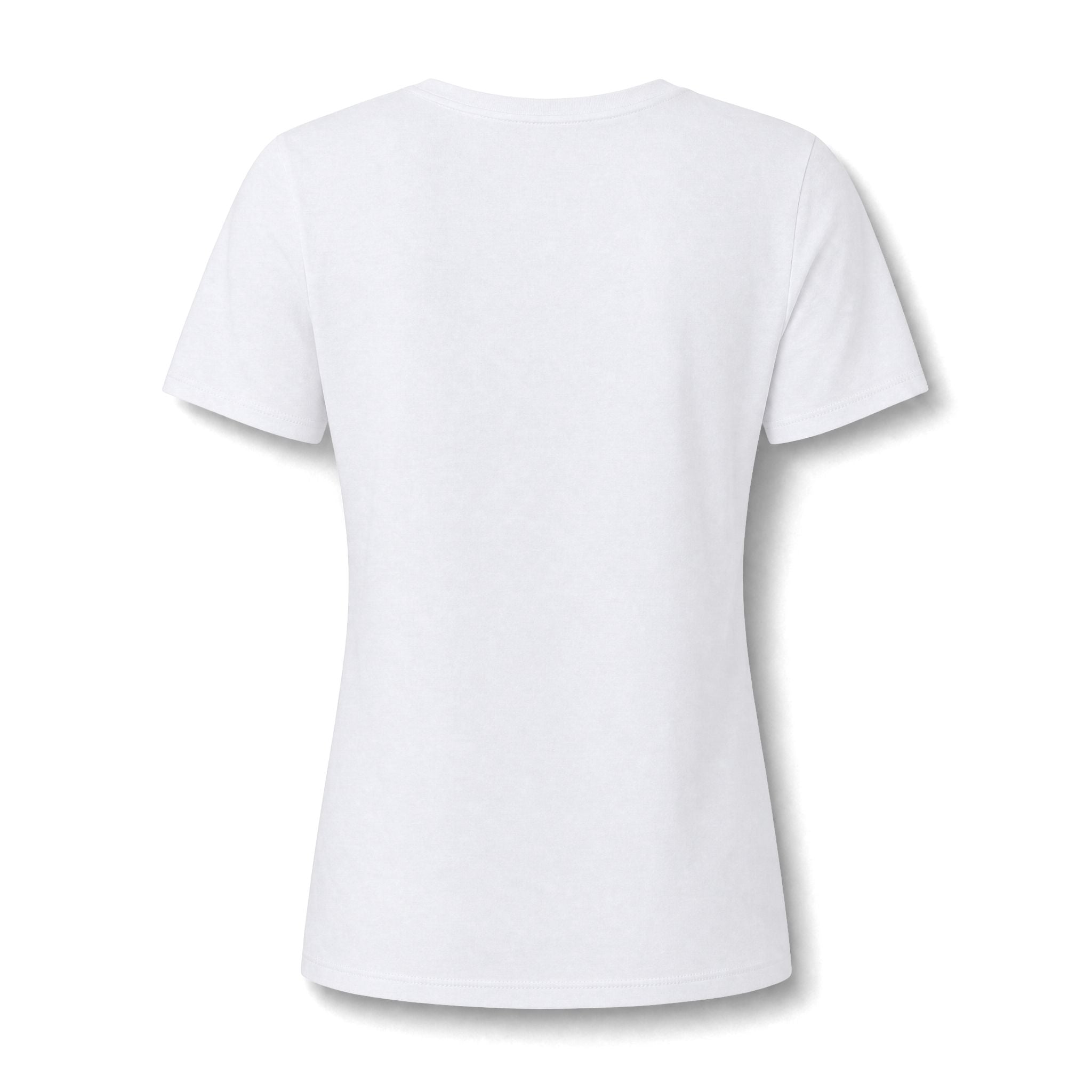 Kintaro and Koi V-Neck Tee  Women's Shirt