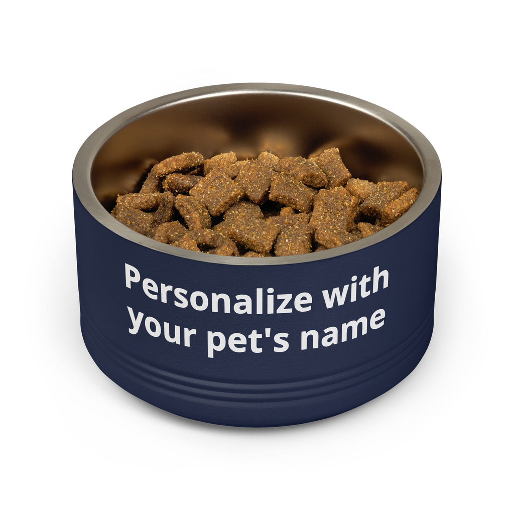 Kintaro The Golden Boy Pet Bowl, 18oz