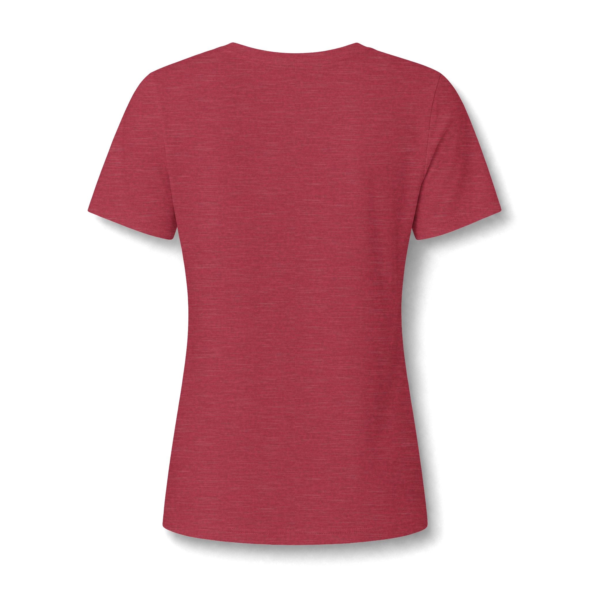 Kintaro and Koi V-Neck Tee  Women's Shirt