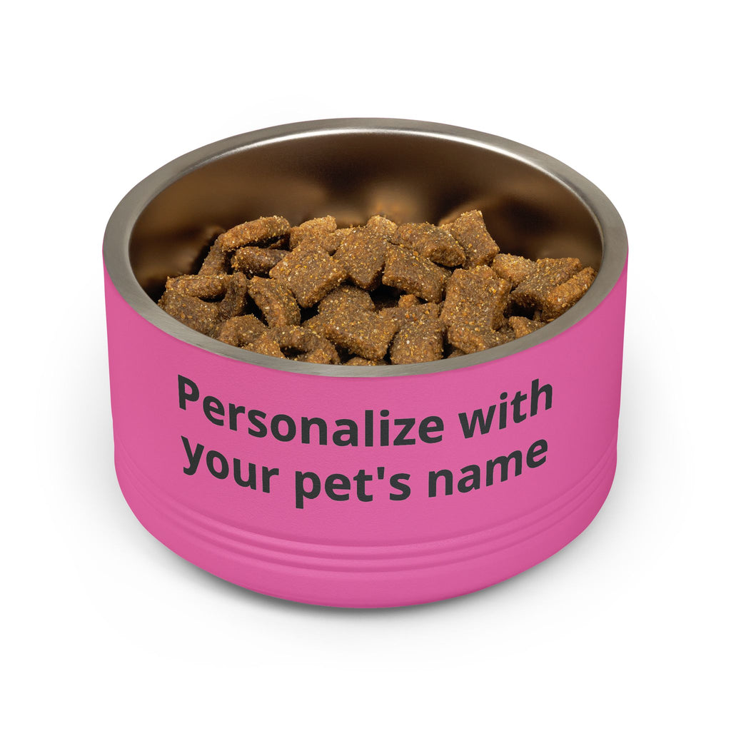 Kintaro The Golden Boy Pet Bowl, 18oz