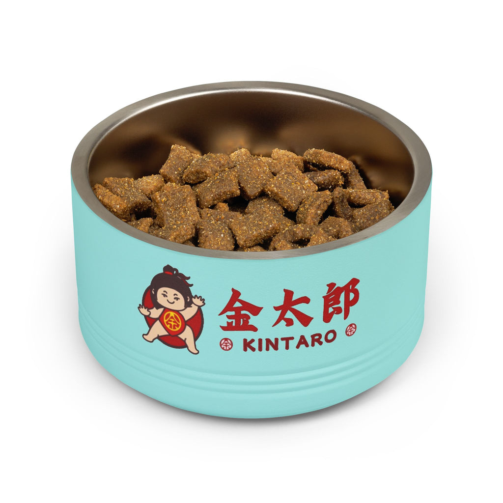 Kintaro The Golden Boy Pet Bowl, 18oz