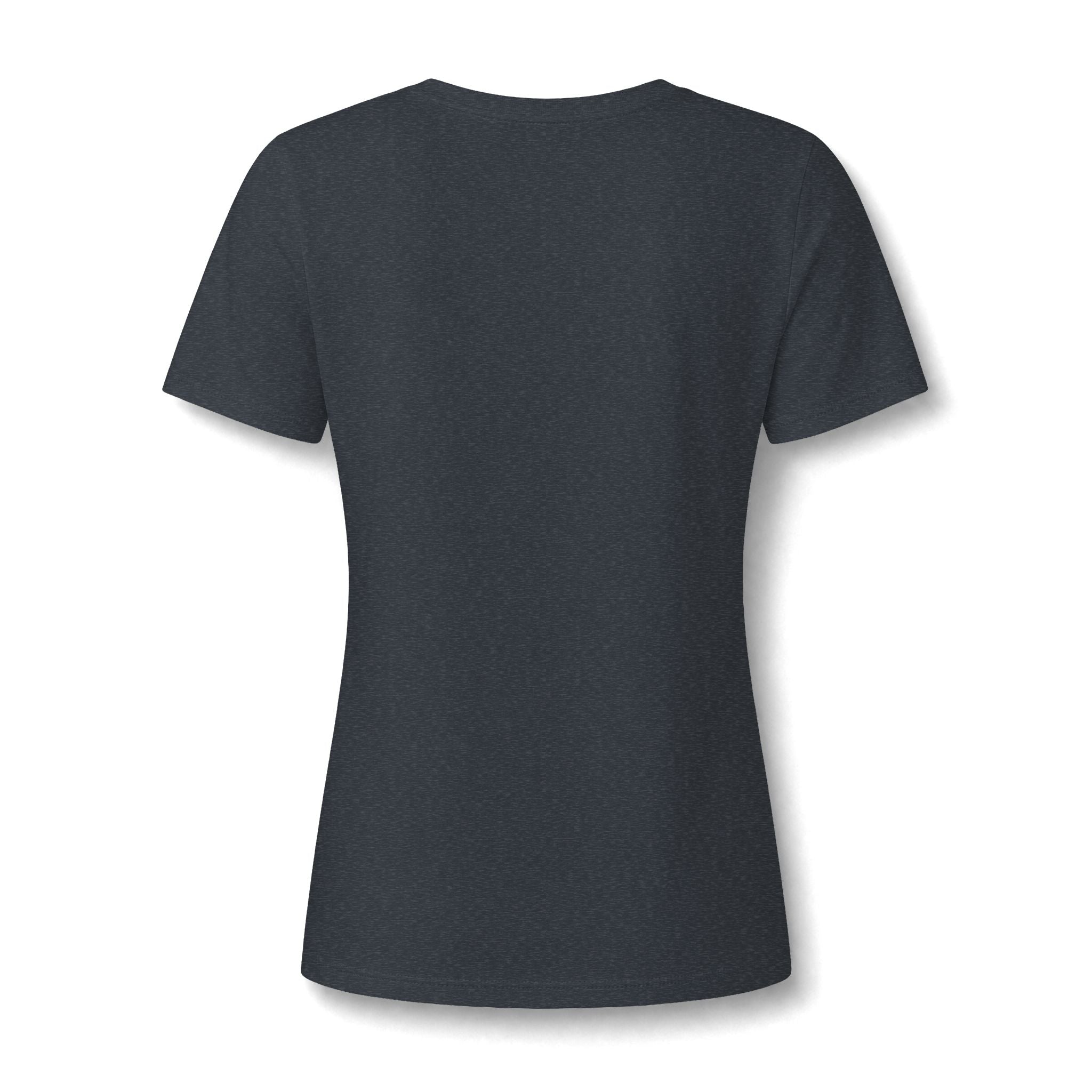 Kintaro and Koi V-Neck Tee  Women's Shirt