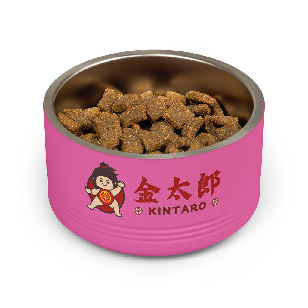 Kintaro The Golden Boy Pet Bowl, 18oz